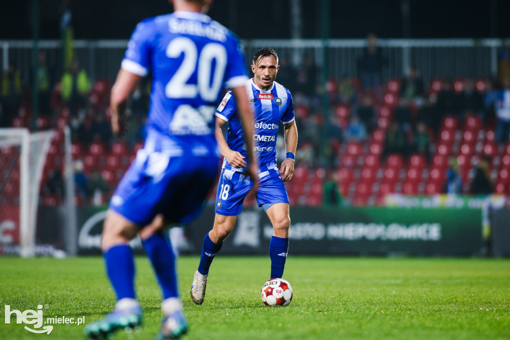 Puszcza Niepołomice - FKS Stal Mielec