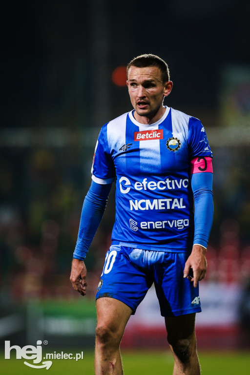 Puszcza Niepołomice - FKS Stal Mielec