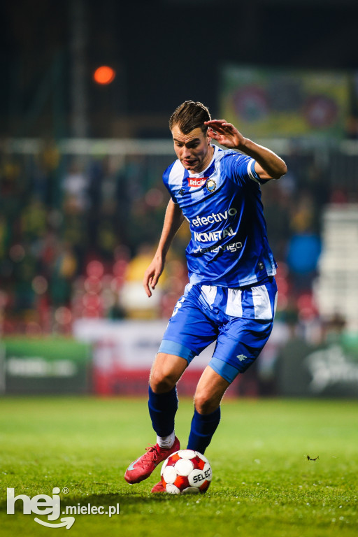 Puszcza Niepołomice - FKS Stal Mielec