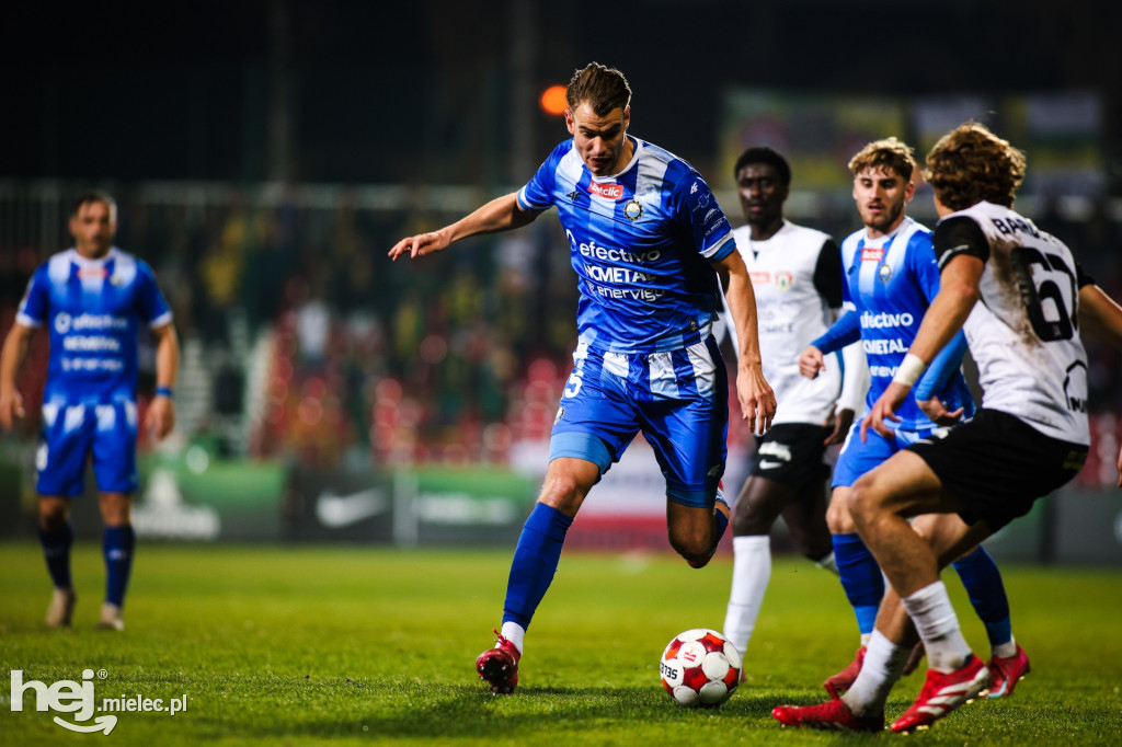 Puszcza Niepołomice - FKS Stal Mielec