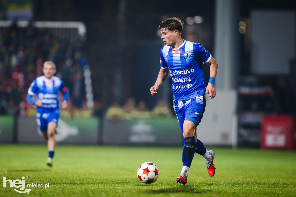 Puszcza Niepołomice - FKS Stal Mielec