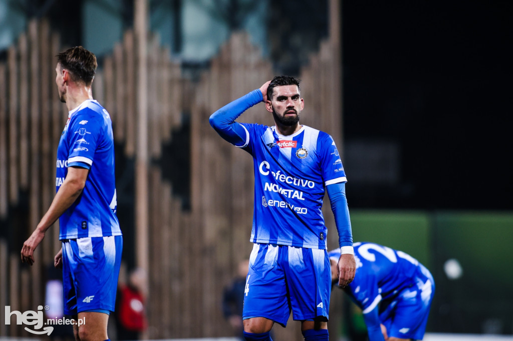 Puszcza Niepołomice - FKS Stal Mielec