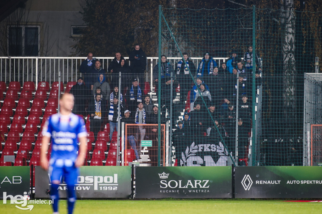 Puszcza Niepołomice - FKS Stal Mielec