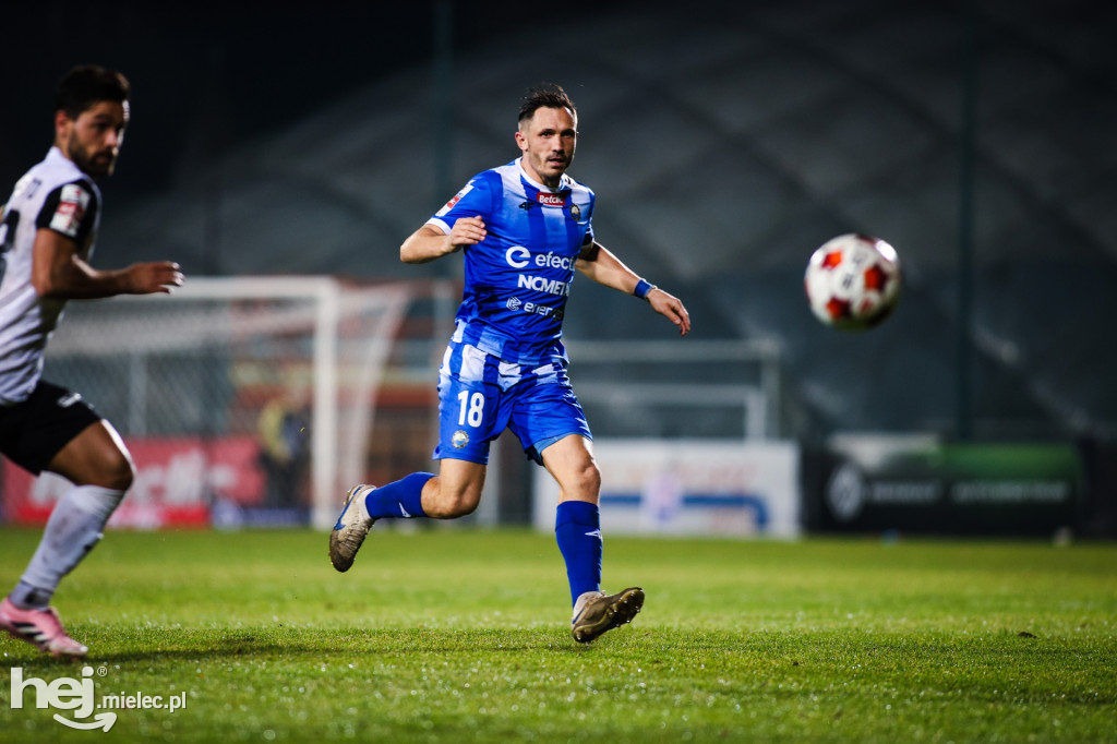 Puszcza Niepołomice - FKS Stal Mielec