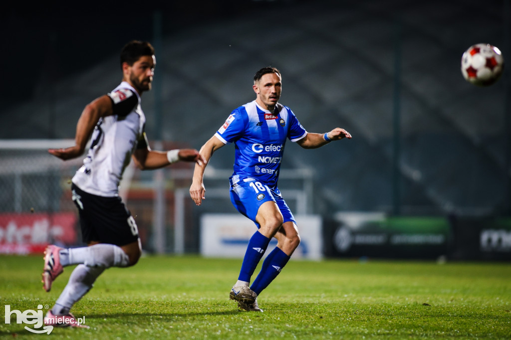 Puszcza Niepołomice - FKS Stal Mielec