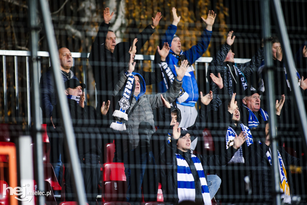 Puszcza Niepołomice - FKS Stal Mielec