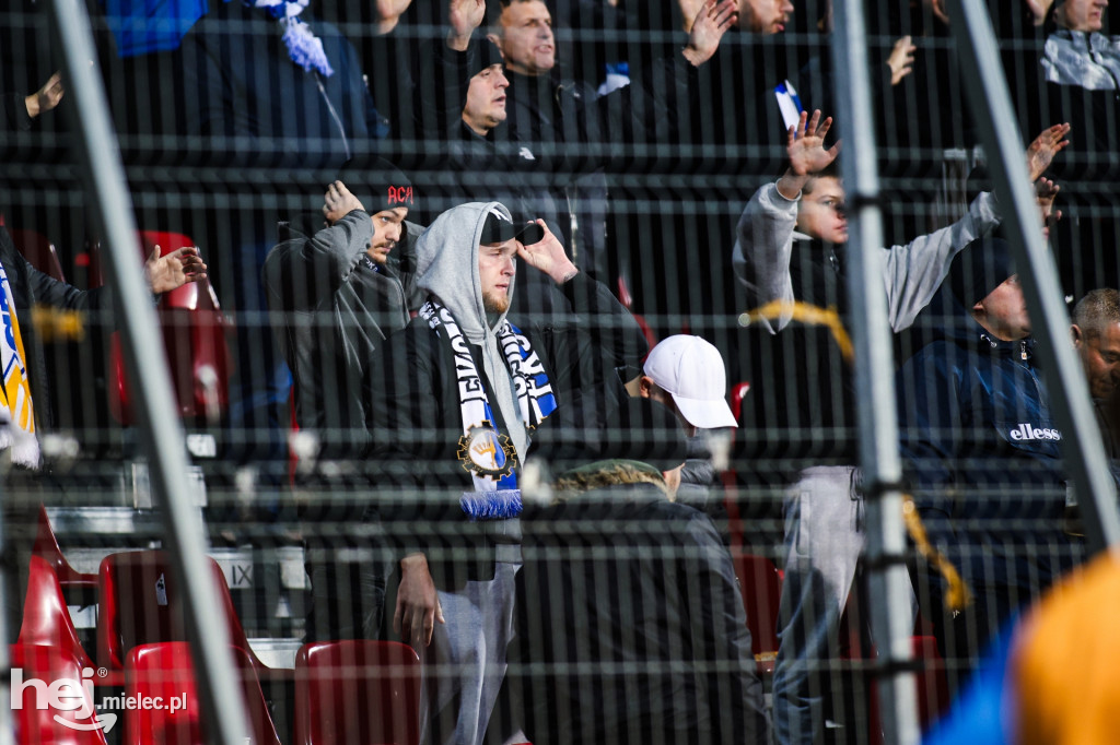 Puszcza Niepołomice - FKS Stal Mielec