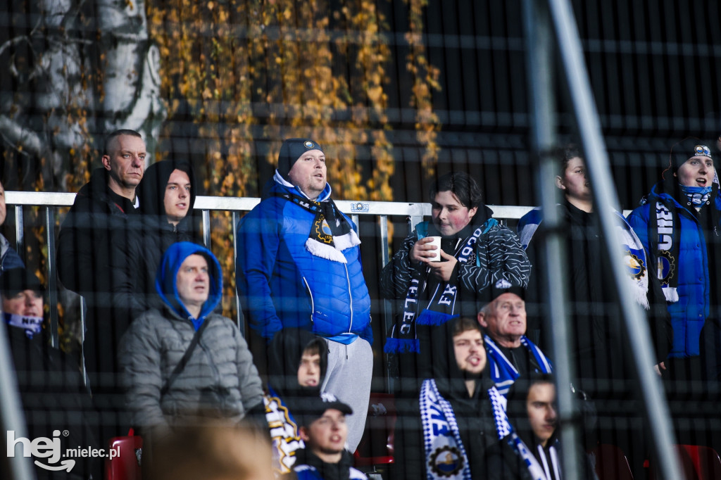 Puszcza Niepołomice - FKS Stal Mielec