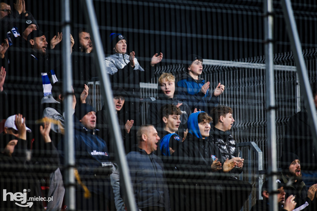 Puszcza Niepołomice - FKS Stal Mielec
