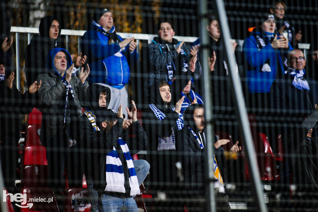 Puszcza Niepołomice - FKS Stal Mielec