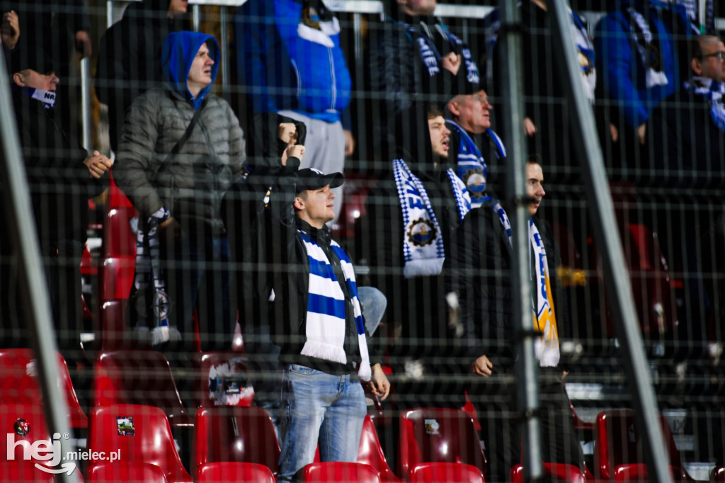 Puszcza Niepołomice - FKS Stal Mielec