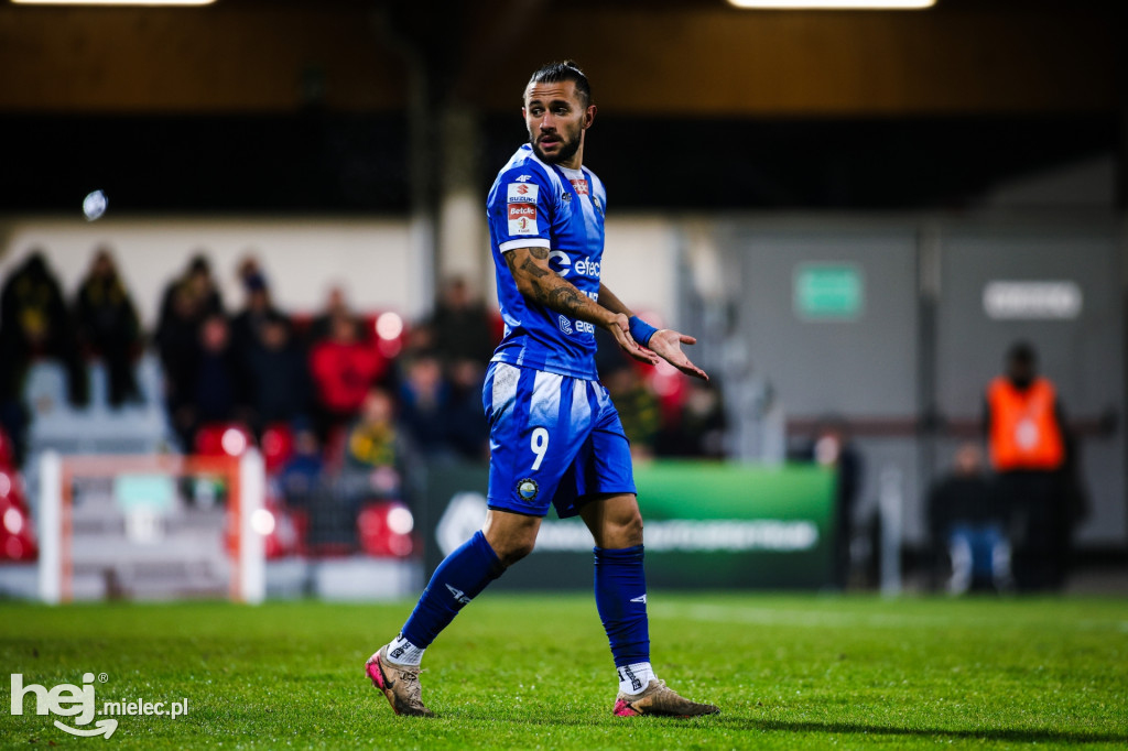 Puszcza Niepołomice - FKS Stal Mielec