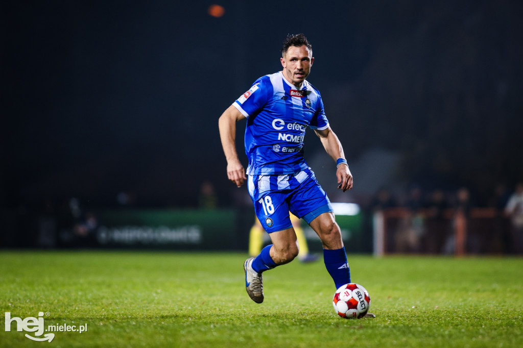 Puszcza Niepołomice - FKS Stal Mielec