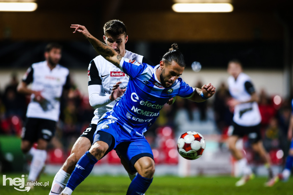 Puszcza Niepołomice - FKS Stal Mielec