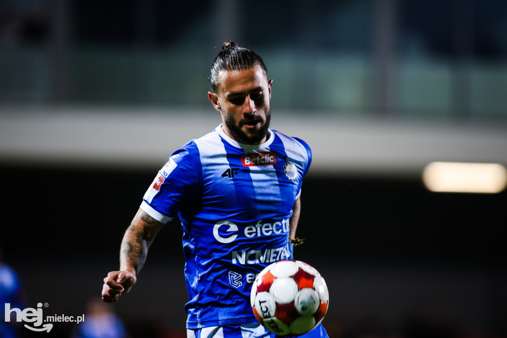 Puszcza Niepołomice - FKS Stal Mielec