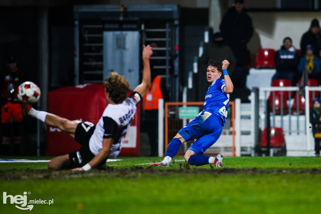 Puszcza Niepołomice - FKS Stal Mielec
