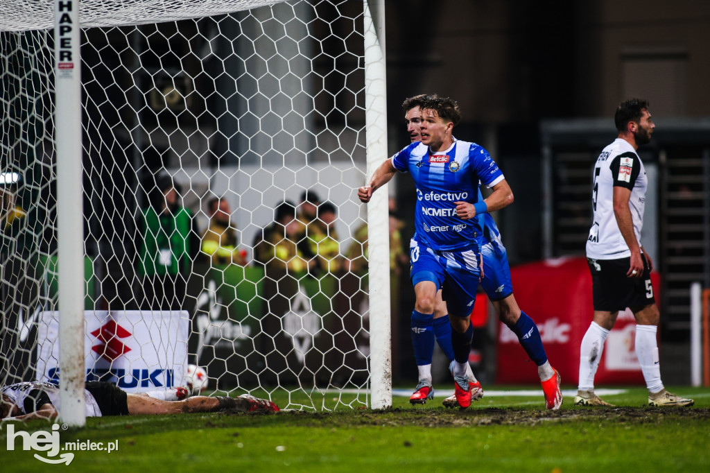 Puszcza Niepołomice - FKS Stal Mielec