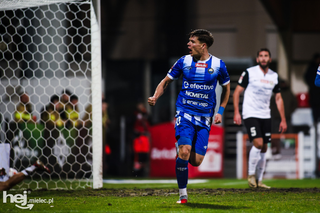 Puszcza Niepołomice - FKS Stal Mielec