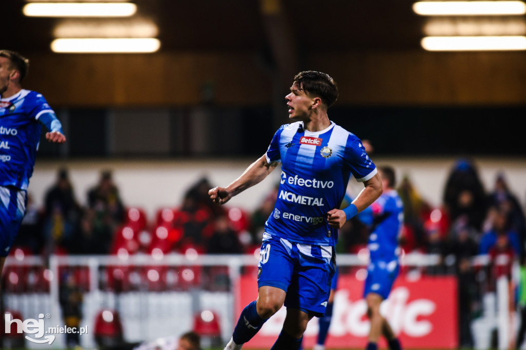 Puszcza Niepołomice - FKS Stal Mielec