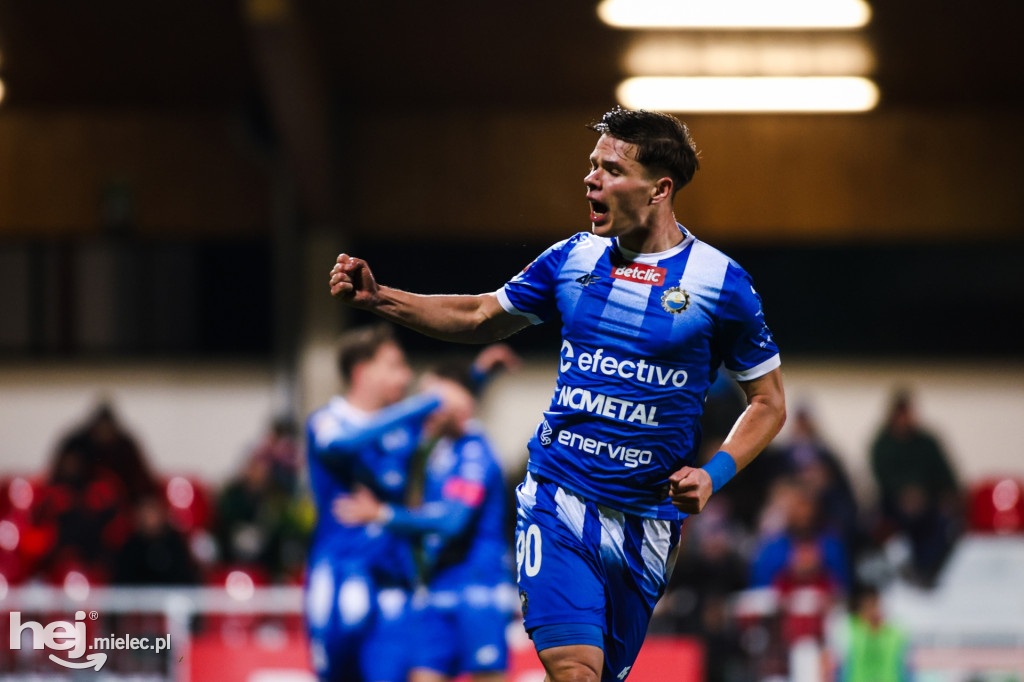 Puszcza Niepołomice - FKS Stal Mielec