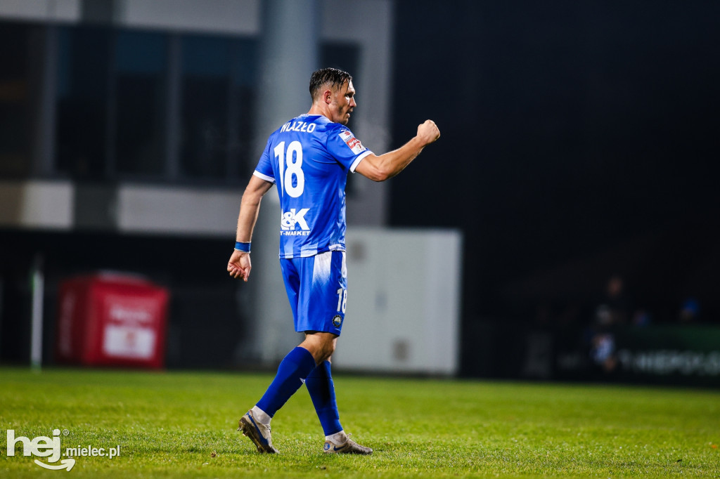 Puszcza Niepołomice - FKS Stal Mielec