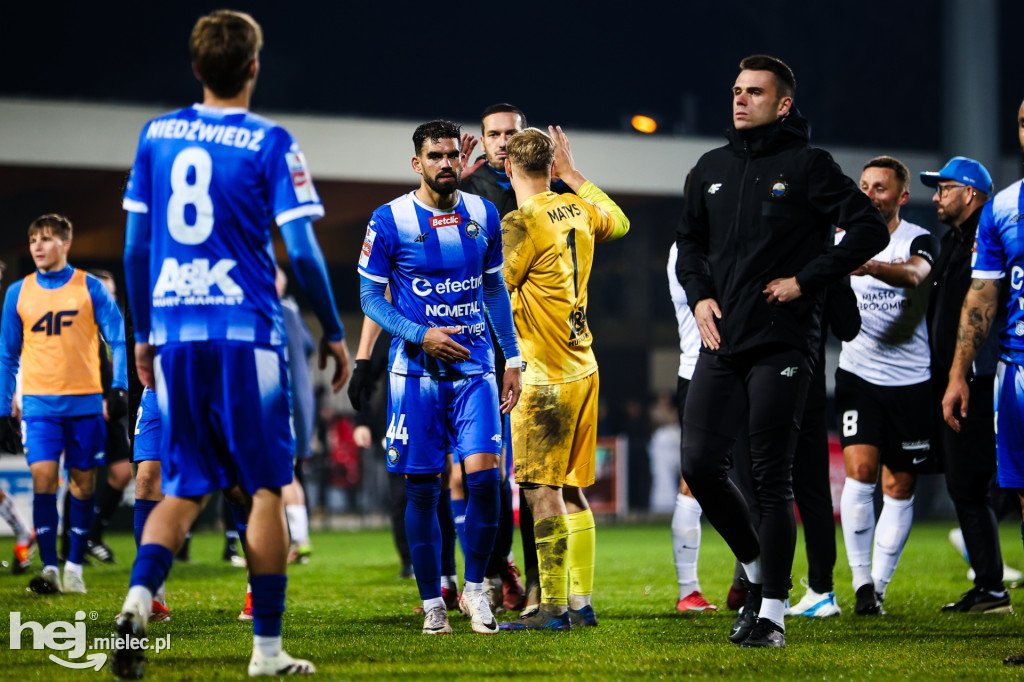 Puszcza Niepołomice - FKS Stal Mielec