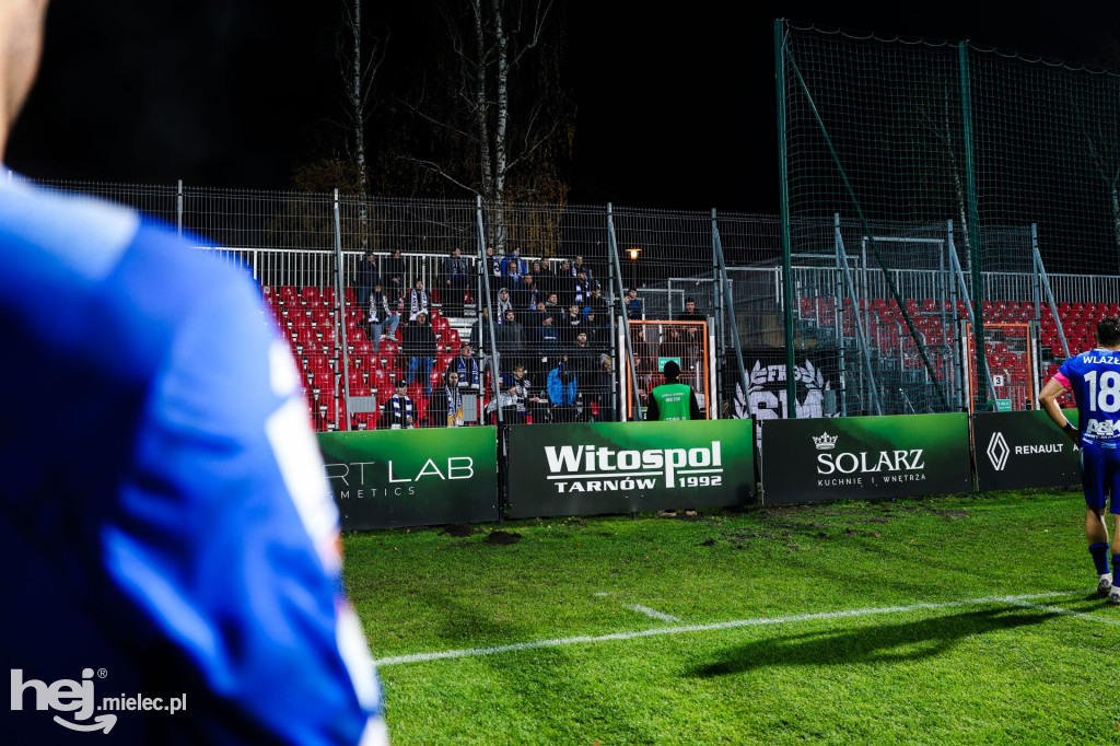 Puszcza Niepołomice - FKS Stal Mielec