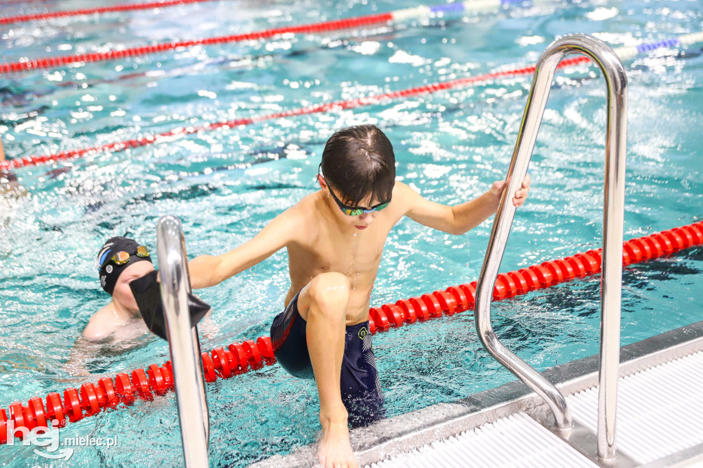 XIX Zawody Pływackie z okazji Święta Niepodległości
