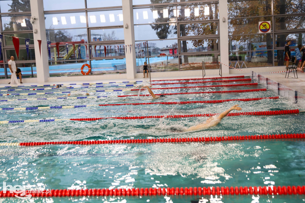 XIX Zawody Pływackie z okazji Święta Niepodległości