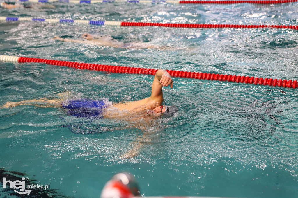 XIX Zawody Pływackie z okazji Święta Niepodległości