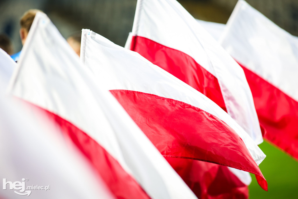 FKS Stal Mielec - Pogoń Siedlce [BOISKO]