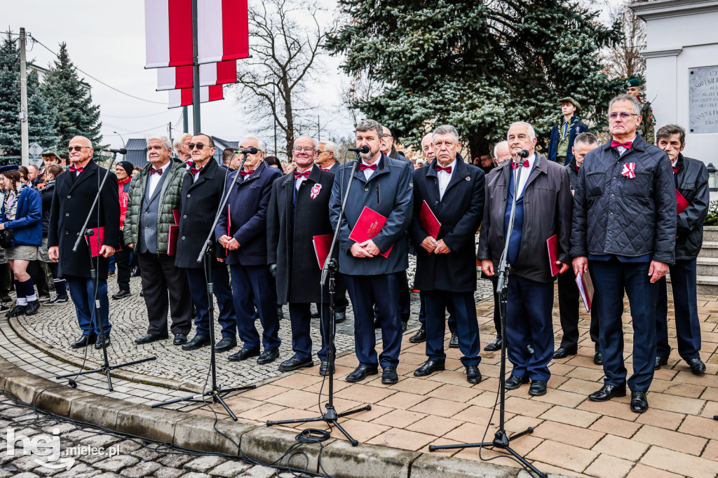 Święto Niepodległości - uroczystości pod Pomnikiem Wolności
