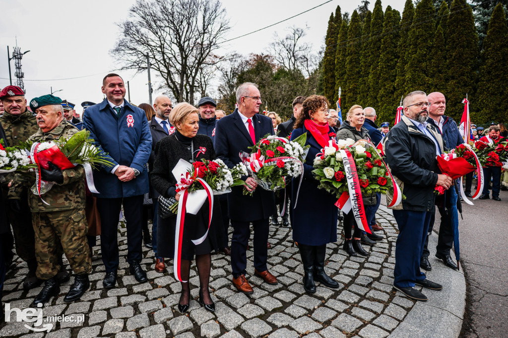 Święto Niepodległości - uroczystości pod Pomnikiem Wolności