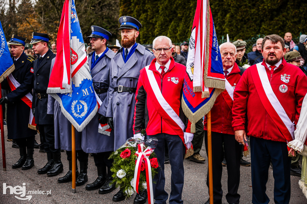 Święto Niepodległości - uroczystości pod Pomnikiem Wolności