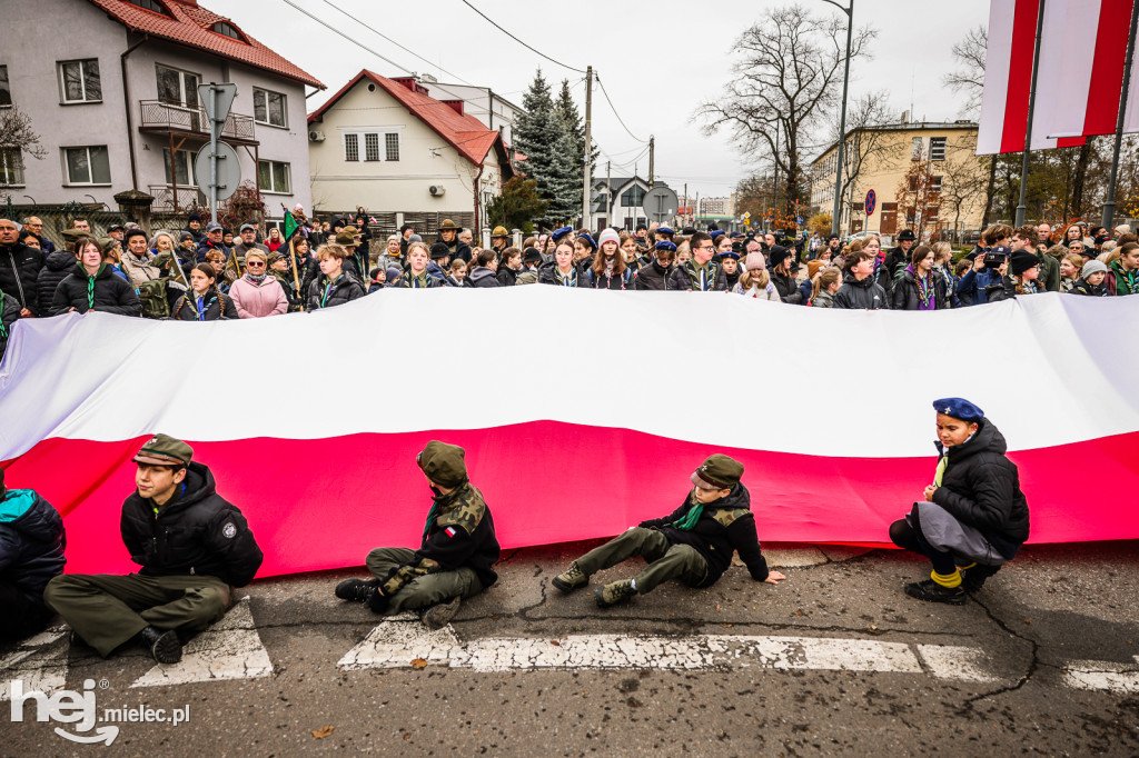 Święto Niepodległości - uroczystości pod Pomnikiem Wolności