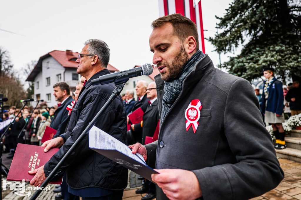 Święto Niepodległości - uroczystości pod Pomnikiem Wolności