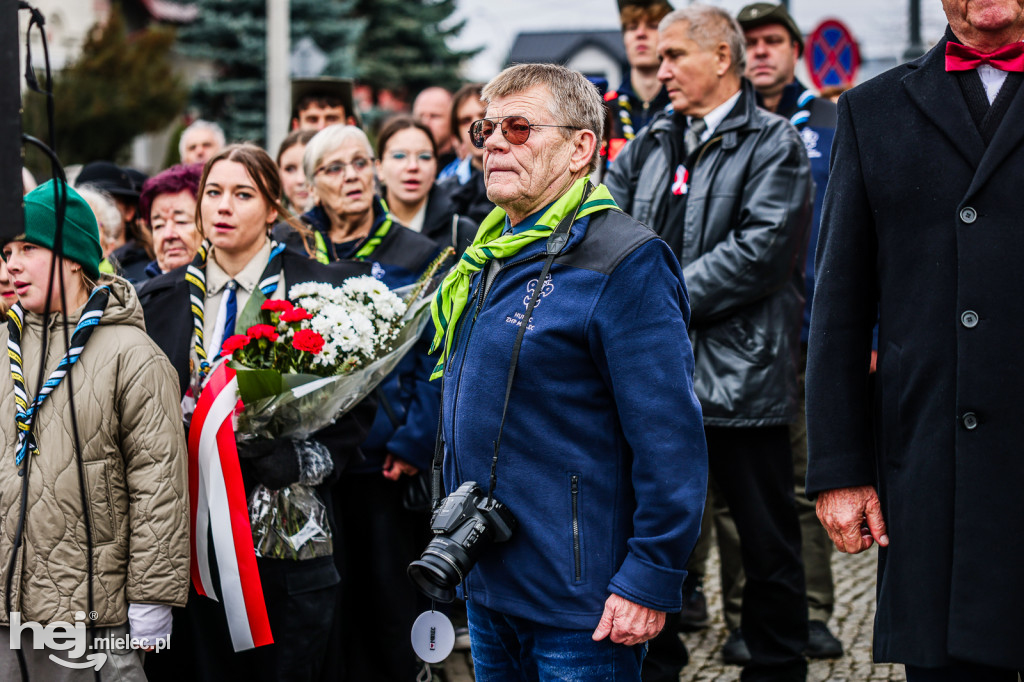 Święto Niepodległości - uroczystości pod Pomnikiem Wolności