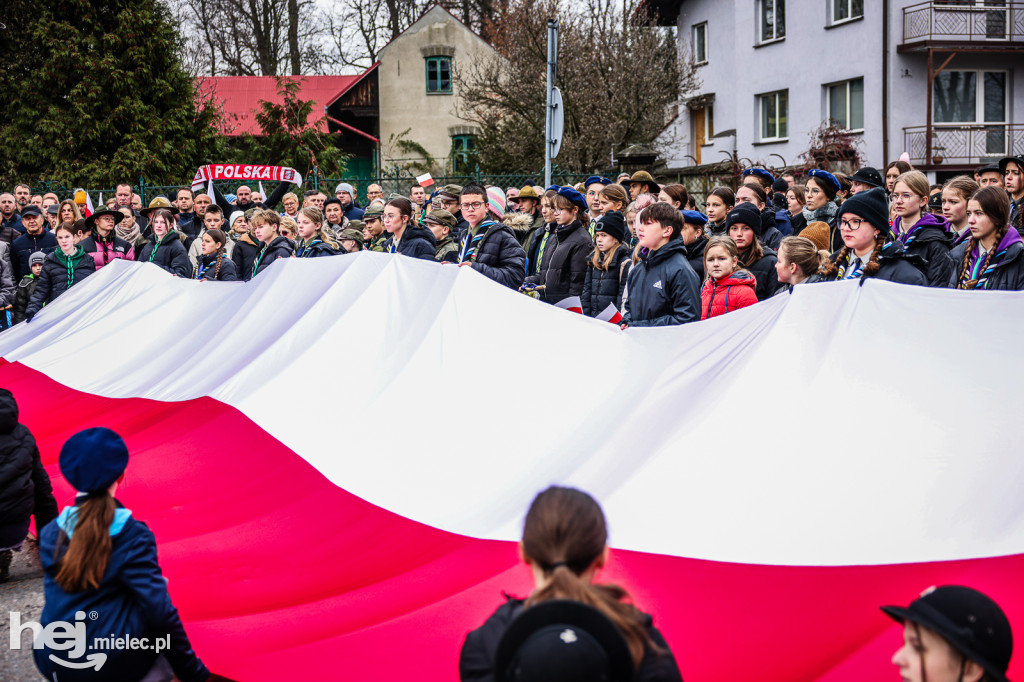 Święto Niepodległości - uroczystości pod Pomnikiem Wolności