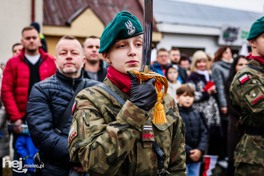 Święto Niepodległości - uroczystości pod Pomnikiem Wolności
