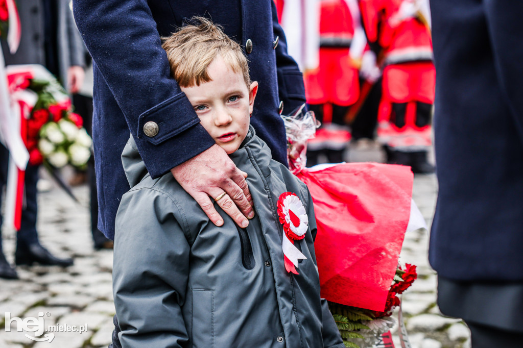Święto Niepodległości - uroczystości pod Pomnikiem Wolności