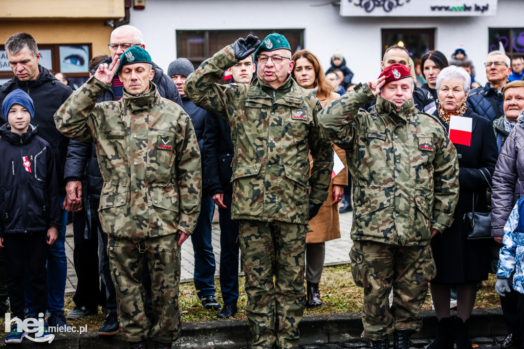 Święto Niepodległości - uroczystości pod Pomnikiem Wolności