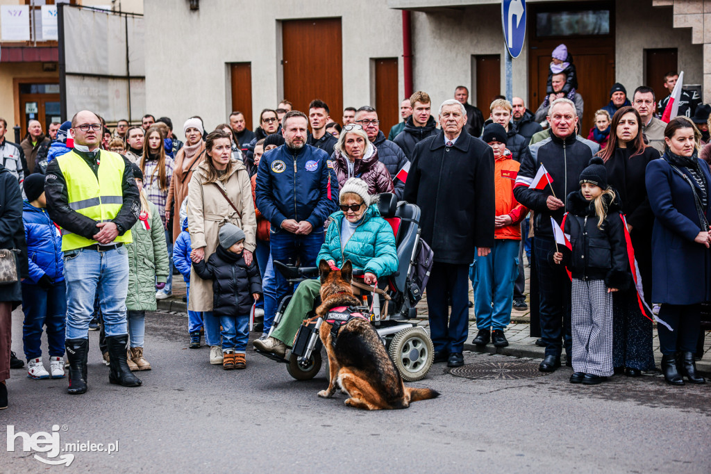Święto Niepodległości - uroczystości pod Pomnikiem Wolności