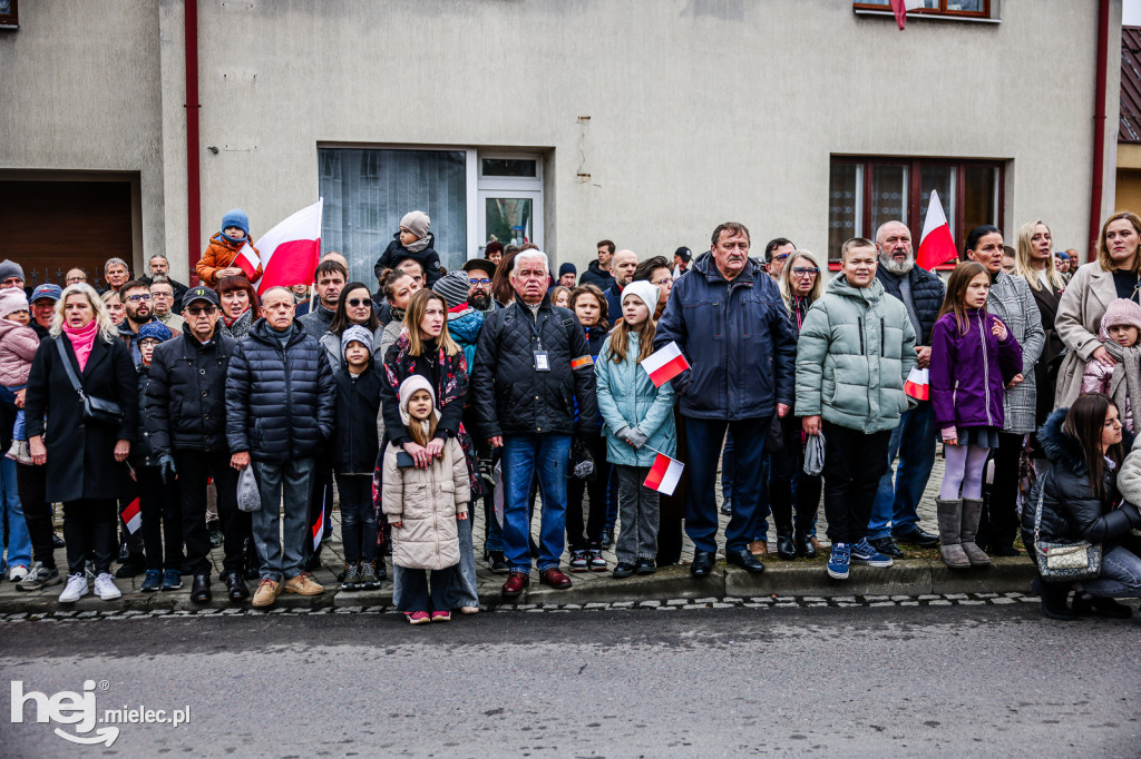 Święto Niepodległości - uroczystości pod Pomnikiem Wolności