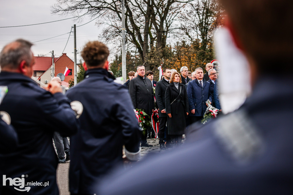 Święto Niepodległości - uroczystości pod Pomnikiem Wolności