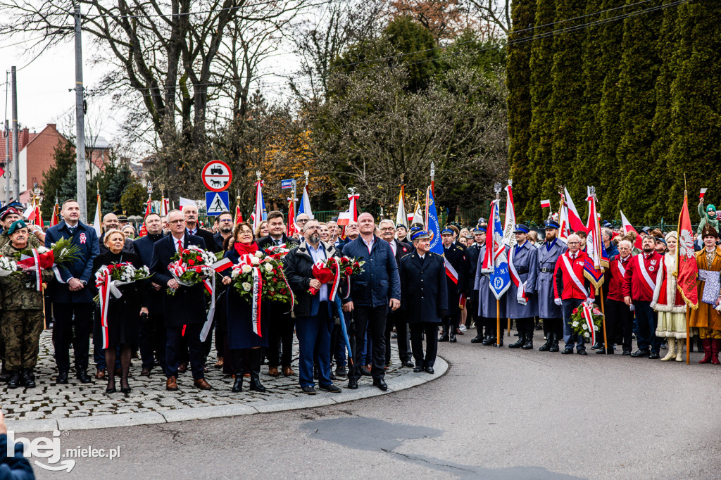 Święto Niepodległości - uroczystości pod Pomnikiem Wolności