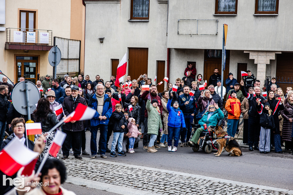 Święto Niepodległości - uroczystości pod Pomnikiem Wolności