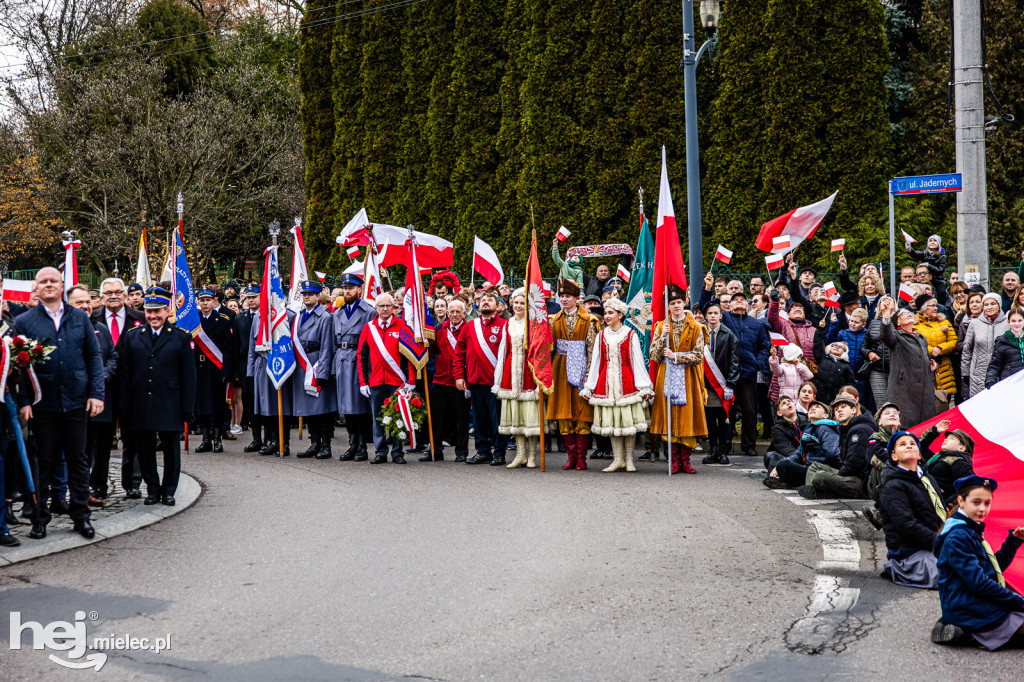 Święto Niepodległości - uroczystości pod Pomnikiem Wolności