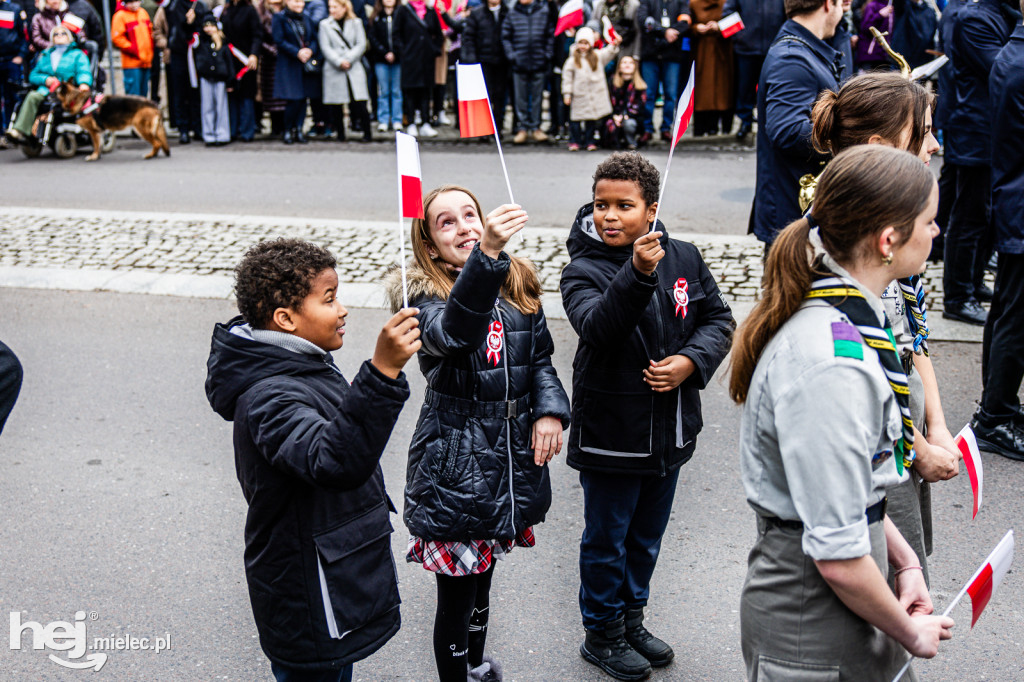 Święto Niepodległości - uroczystości pod Pomnikiem Wolności