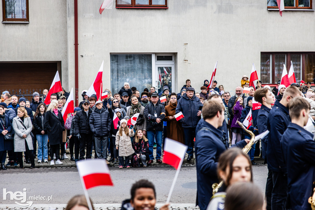 Święto Niepodległości - uroczystości pod Pomnikiem Wolności