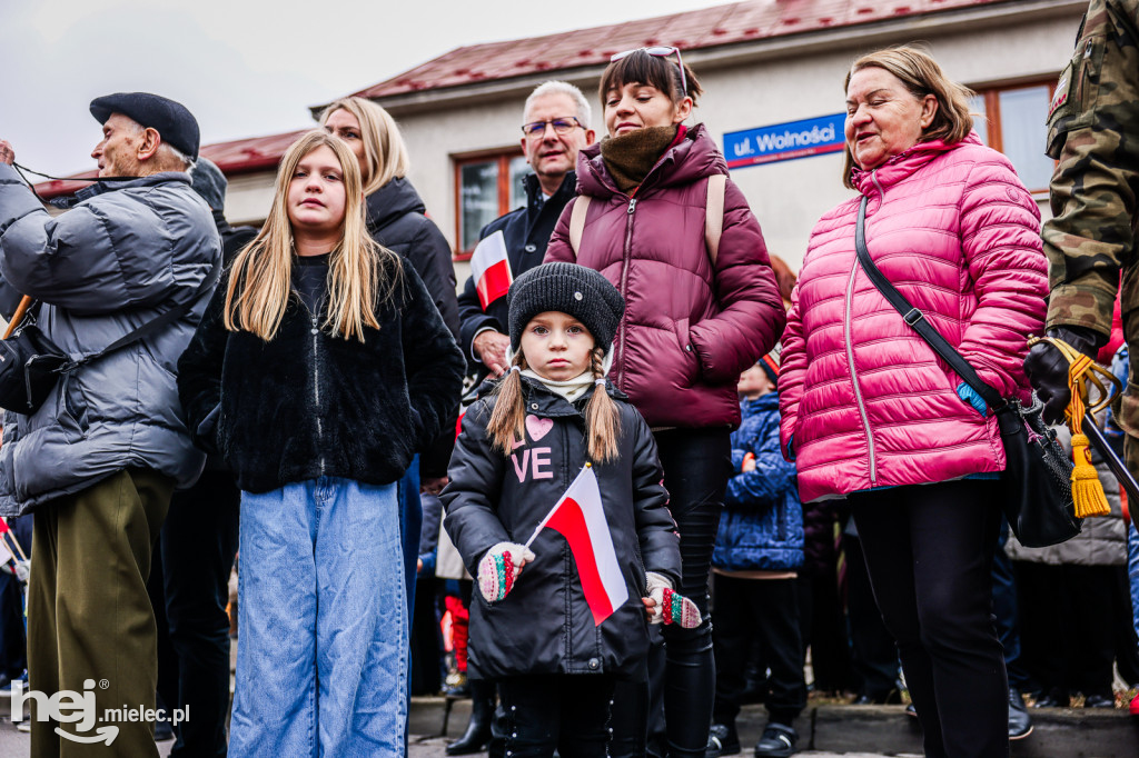 Święto Niepodległości - uroczystości pod Pomnikiem Wolności